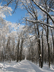 Similar image 115533