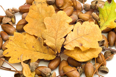 Similar image 115602