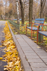 Similar image 115614