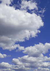 Similar image 115632