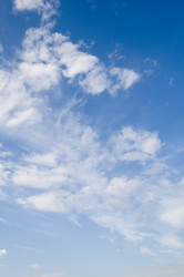 Similar image 115636