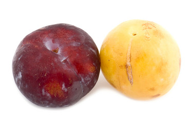 Similar image 115646