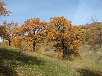 Similar image 115698