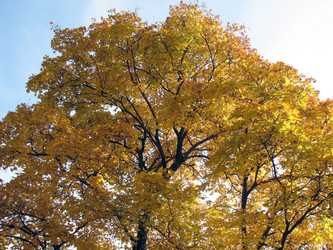 Similar image 115699