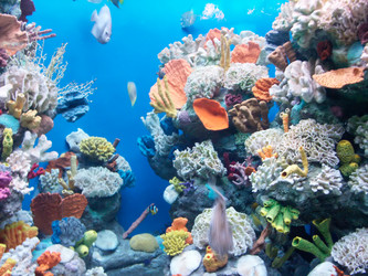 Similar image 115740