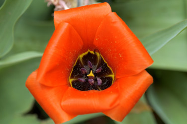 Similar image 115750