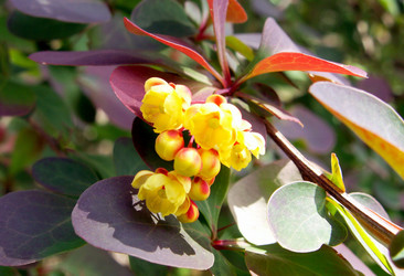 Similar image 115776