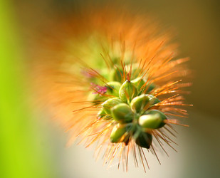 Similar image 115781