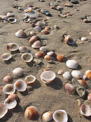 Similar image 115817