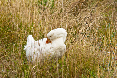 Similar image 115847