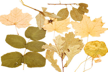 Similar image 115854