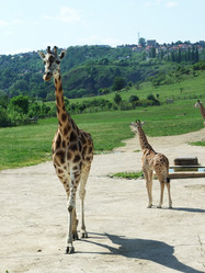 Similar image 115864