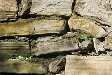 Similar image 115928