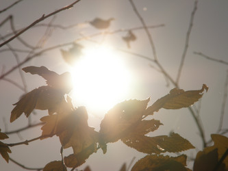 Similar image 115995