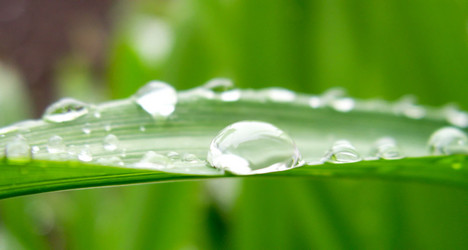 Similar image 115997