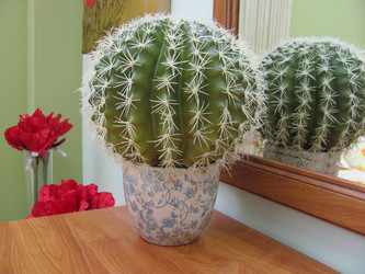 Similar image 116029