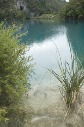 Similar image 116032