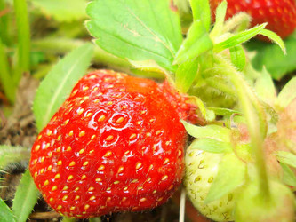 Similar image 116033