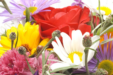 Similar image 116039