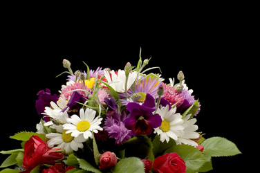 Similar image 116044