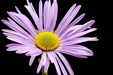 Similar image 116049