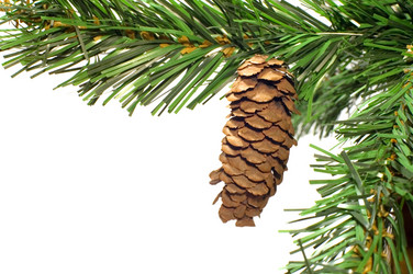 Similar image 116064