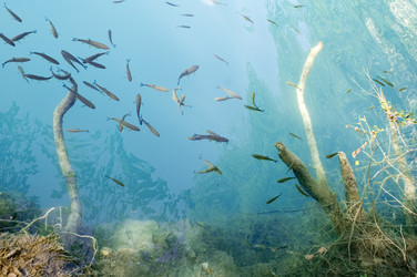 Similar image 116067