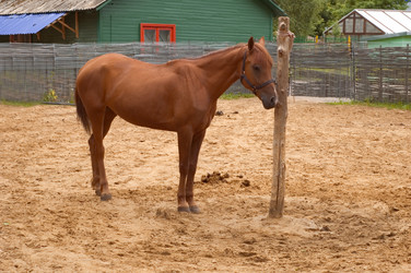 Similar image 116074