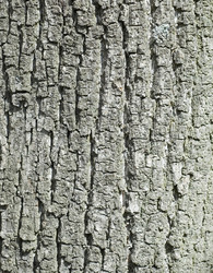 Similar image 116078