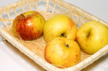 Similar image 116091