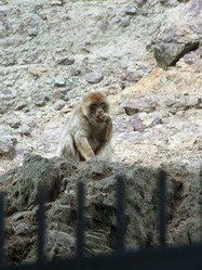 Similar image 116135