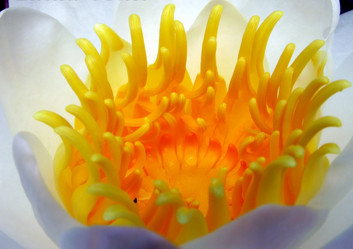 Similar image 116136