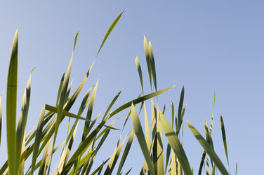 Similar image 116137