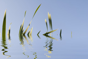 Similar image 116138