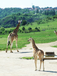 Similar image 116150