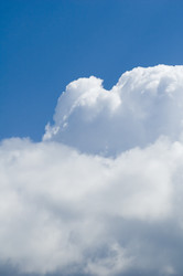 Similar image 116154