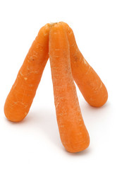 Similar image 116190