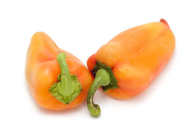 Similar image 116213