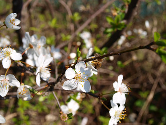 Similar image 116227