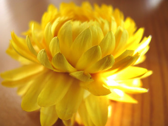 Similar image 116285