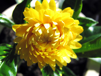 Similar image 116286