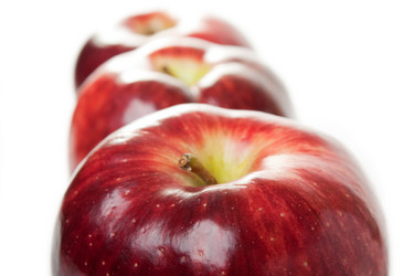 Similar image 116311