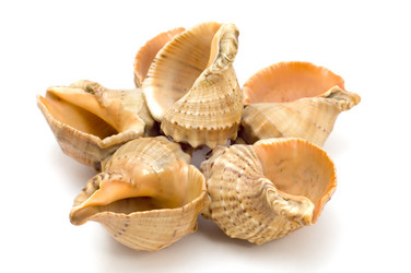 Similar image 116324