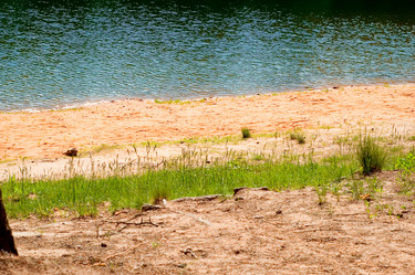 Similar image 116434