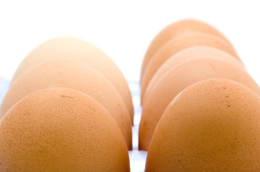 Similar image 116465