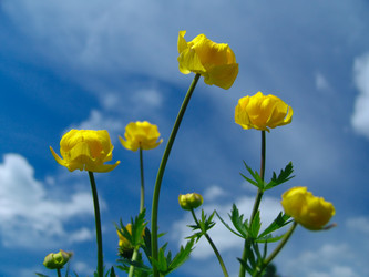 Similar image 116486