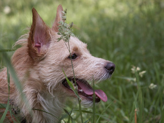 Similar image 116536