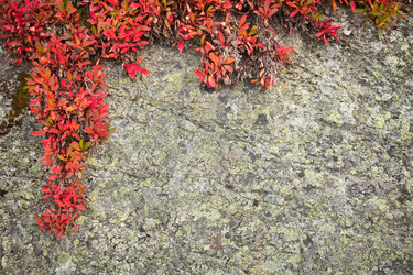 Similar image 116547