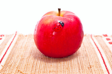 Similar image 116616