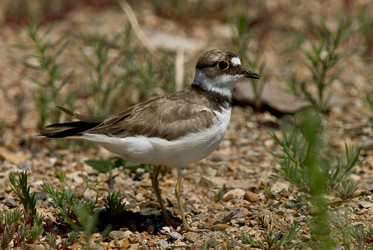 Similar image 116679